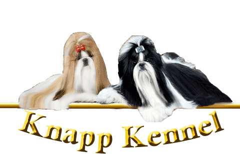 Canil Knapp|Knapp Kennel